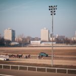 Thumbnail of related posts 135